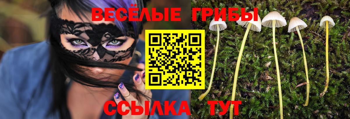 Галлюциногенные грибы мицелий  Вход с VPN  Галлюциногенные грибы прущие грибы  Лангепас 